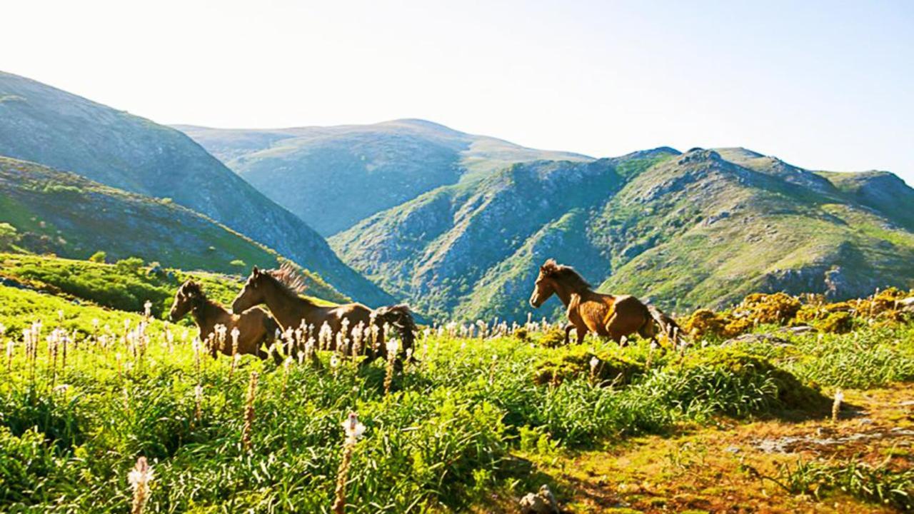 Agrinho Suites & Spa Geres Valdosende Eksteriør billede